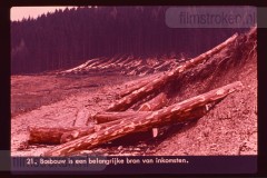 Oostenrijk I Oostenrijk I