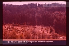 Oostenrijk I Oostenrijk I