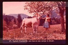 Oostenrijk I Oostenrijk I