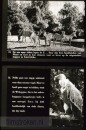 Dieren uit Verre Landen Dieren uit Verre Landen
