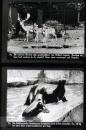 Dieren uit Verre Landen Dieren uit Verre Landen