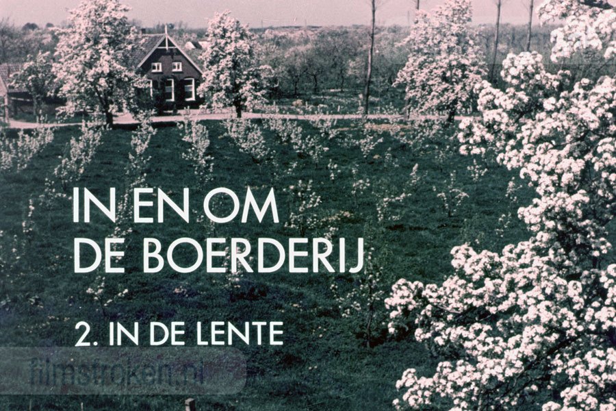 In en om de Boerderij II - In de Lente In en om de Boerderij II - In de Lente