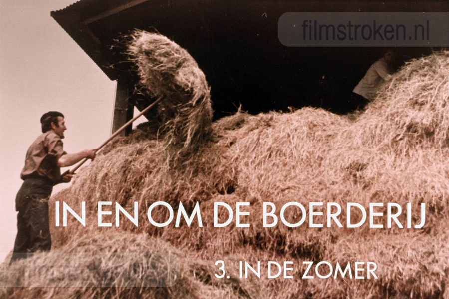 In en om de Boerderij III - In de Zomer