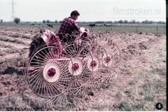 In en om de Boerderij III - In de Zomer