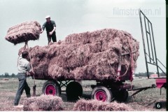 In en om de Boerderij III - In de Zomer