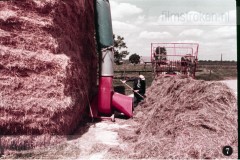 In en om de Boerderij III - In de Zomer