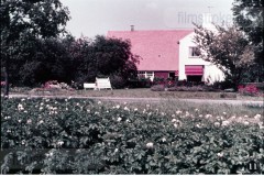 In en om de Boerderij III - In de Zomer