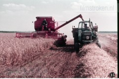 In en om de Boerderij III - In de Zomer