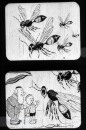 Met een Hommel op Reis Met een Hommel op Reis