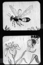 Met een Hommel op Reis Met een Hommel op Reis