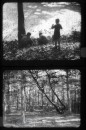 Herfst in het Bos Herfst in het Bos