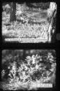 Herfst in het Bos Herfst in het Bos