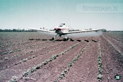 Australië 1 - Geschiedenis en Bestaansmiddelen