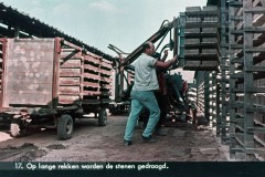 Bodemschatten II Bodemschatten II