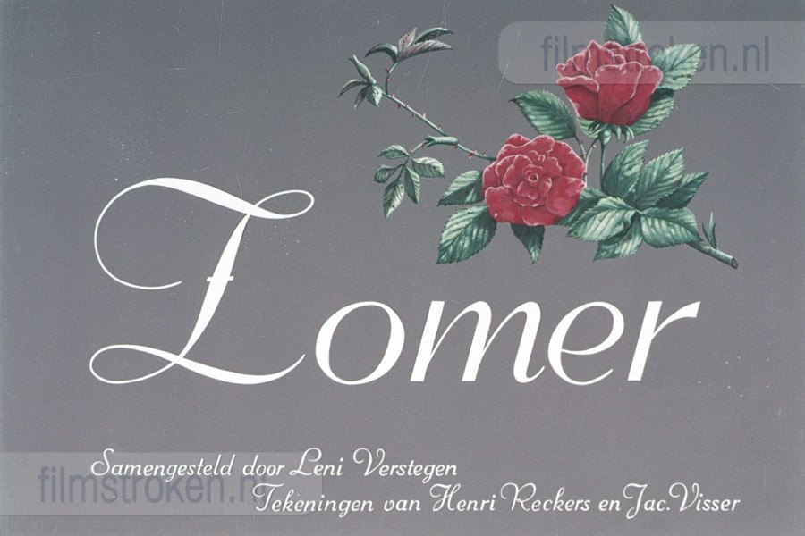 Zomer Zomer