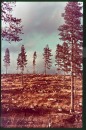 Finland Finland