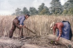 Overgrootmoeders Tijd II - Op het Land Overgrootmoeders Tijd II - Op het Land
