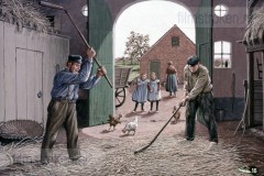 Overgrootmoeders Tijd II - Op het Land Overgrootmoeders Tijd II - Op het Land