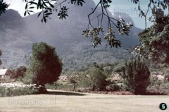 Zuid-Afrika II - Landschap, Flora en Fauna